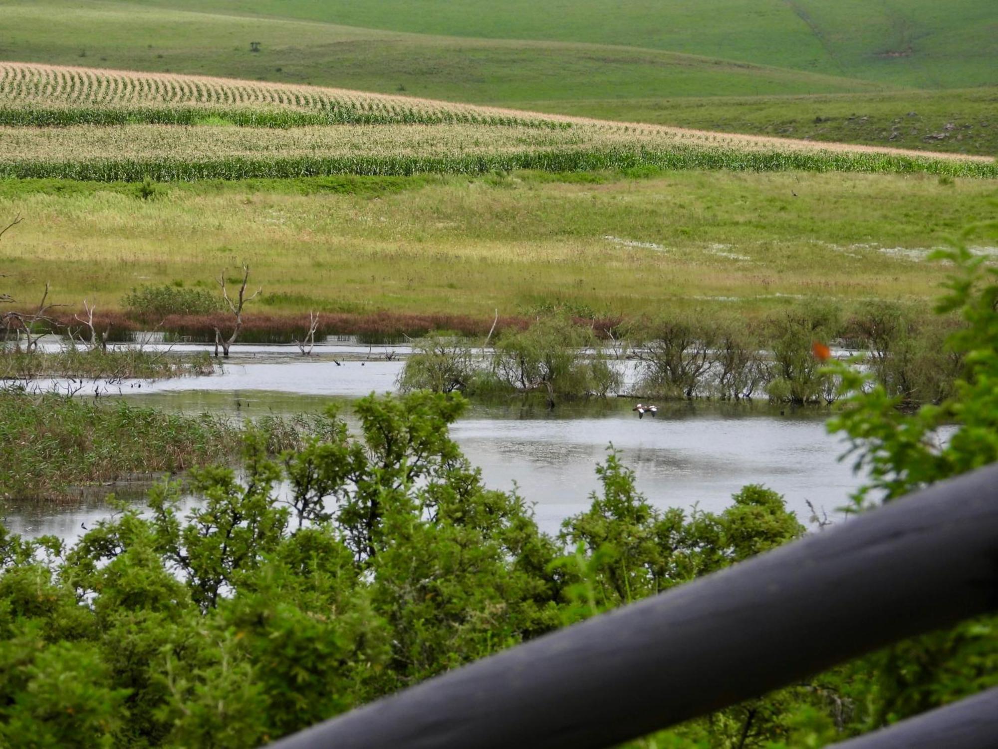 Rosetta Fields Country Lodge Henburg Park Екстериор снимка